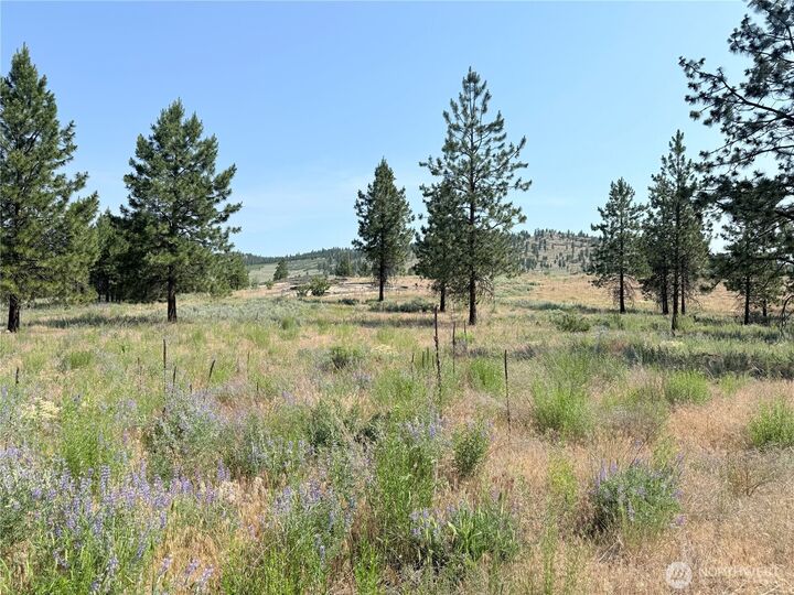 Property Photo: 22 Dutch Anderson Road WA 98841