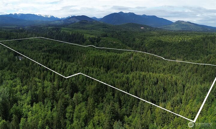 Property Photo:  9999  Blue Mountain Road  WA 98362 