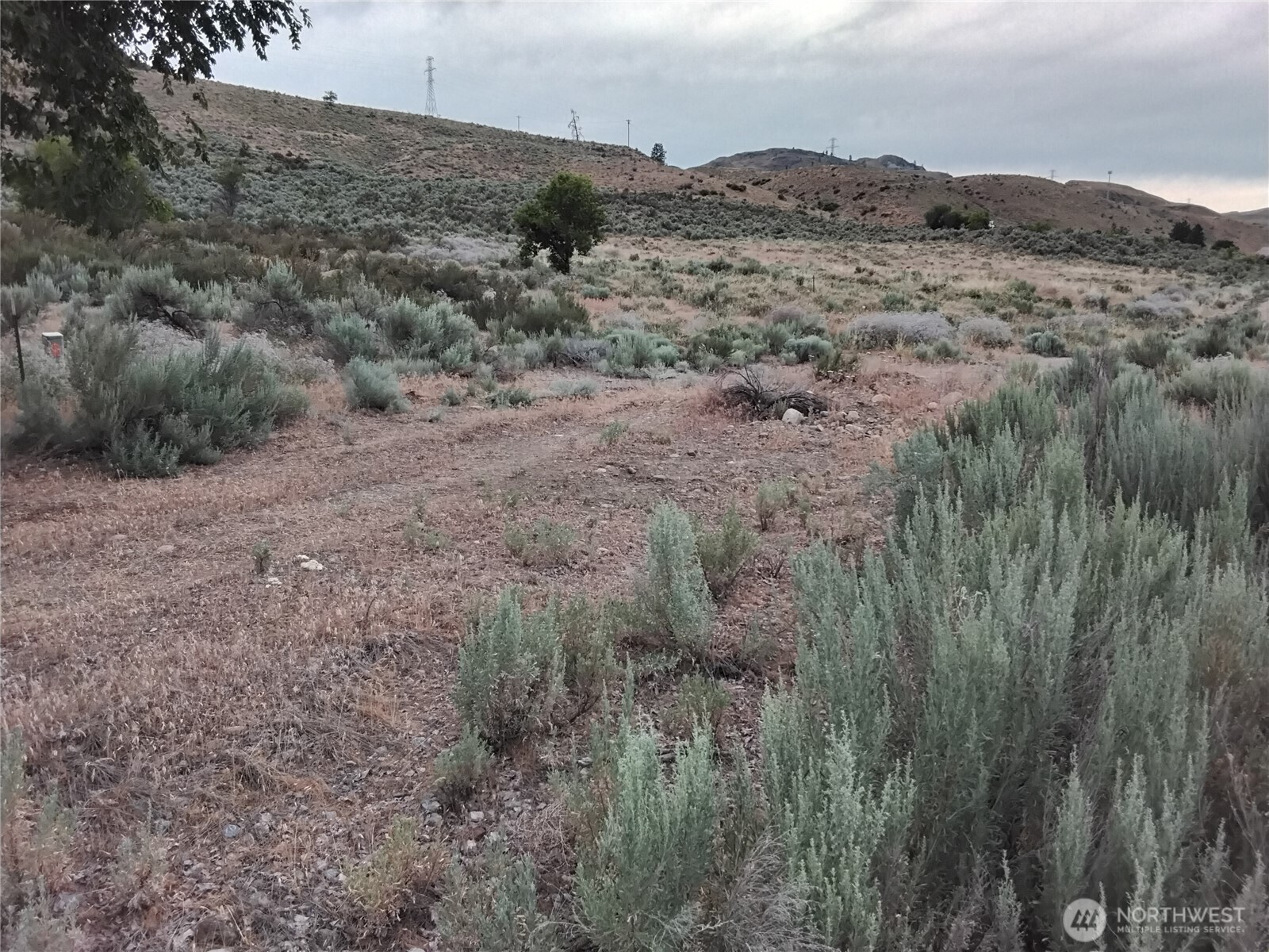 Property Photo:  0  Mount Olive Road  WA 98849 