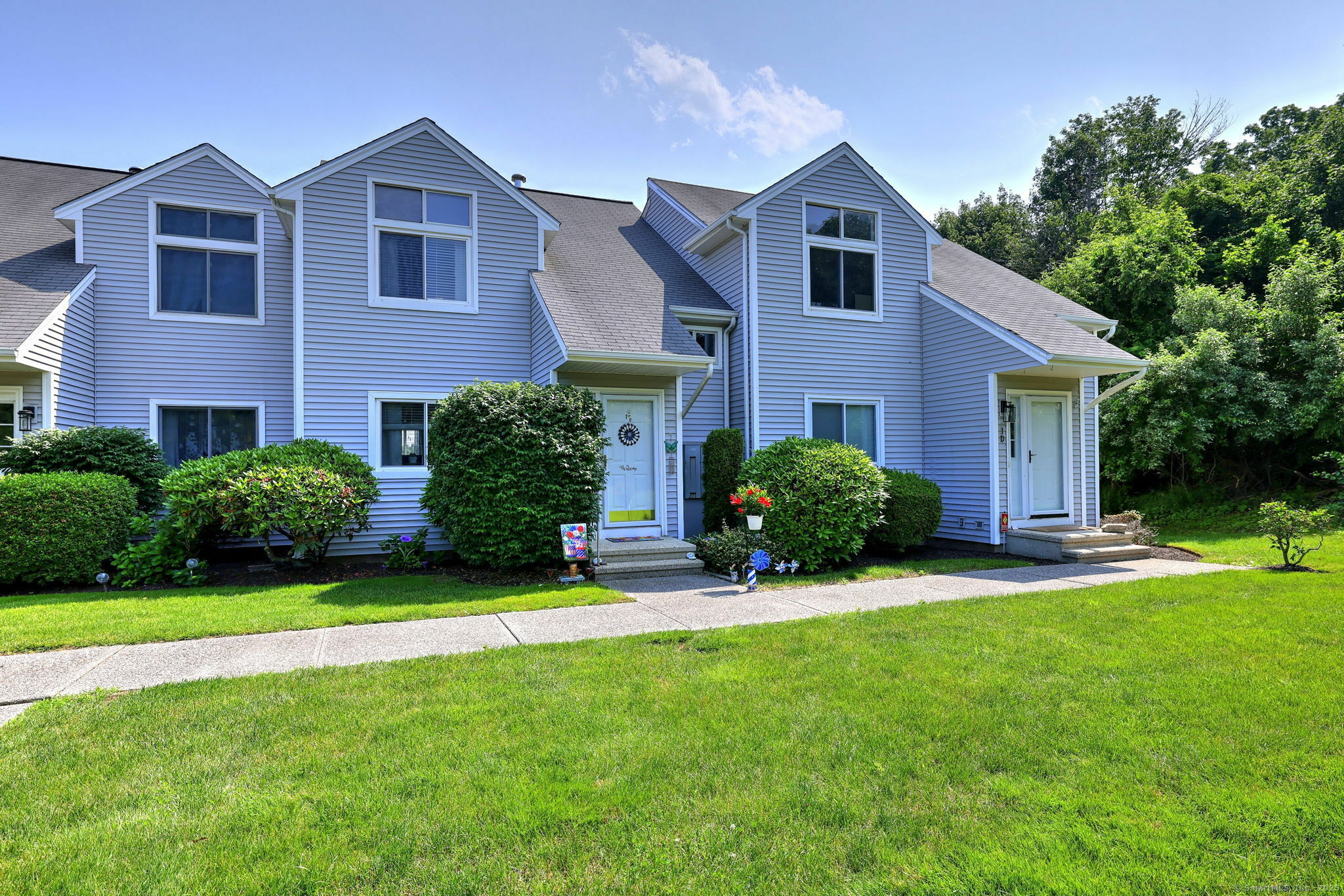 Property Photo: 1 Daisy Drive C CT 06483