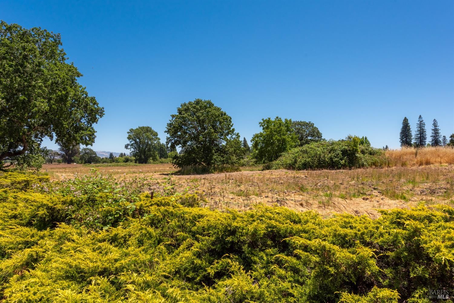 Property Photo: 6670 Redwood Avenue CA 95472
