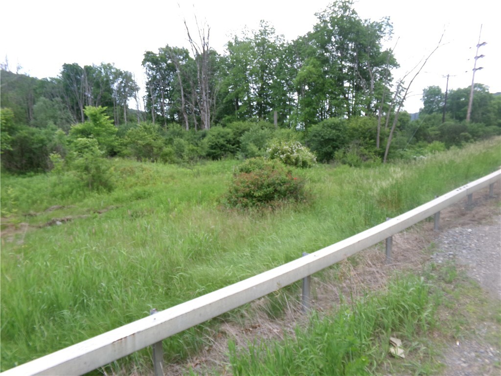 Property Photo: 0 Candor Road NY 14883