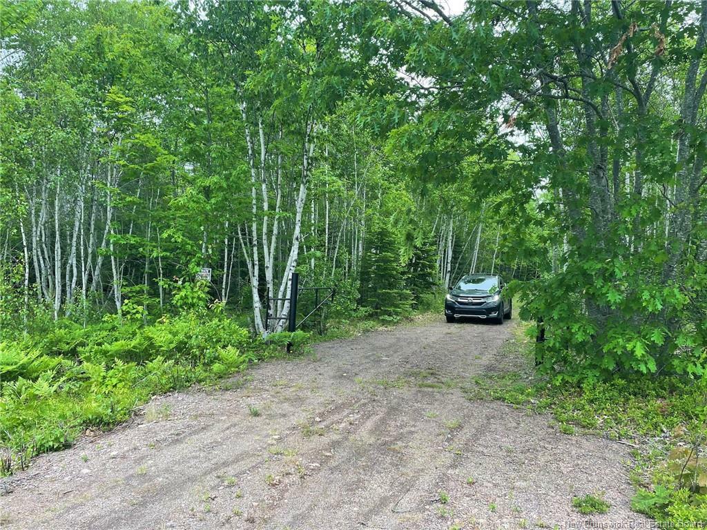 Photo de la propriété: 09-17 Route 105 NB E4C 3K7