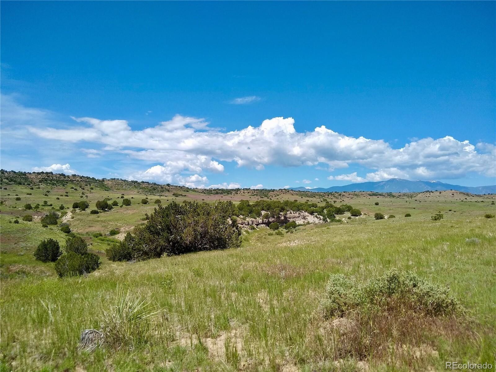Property Photo: 0 County 113 Ln CO 81069