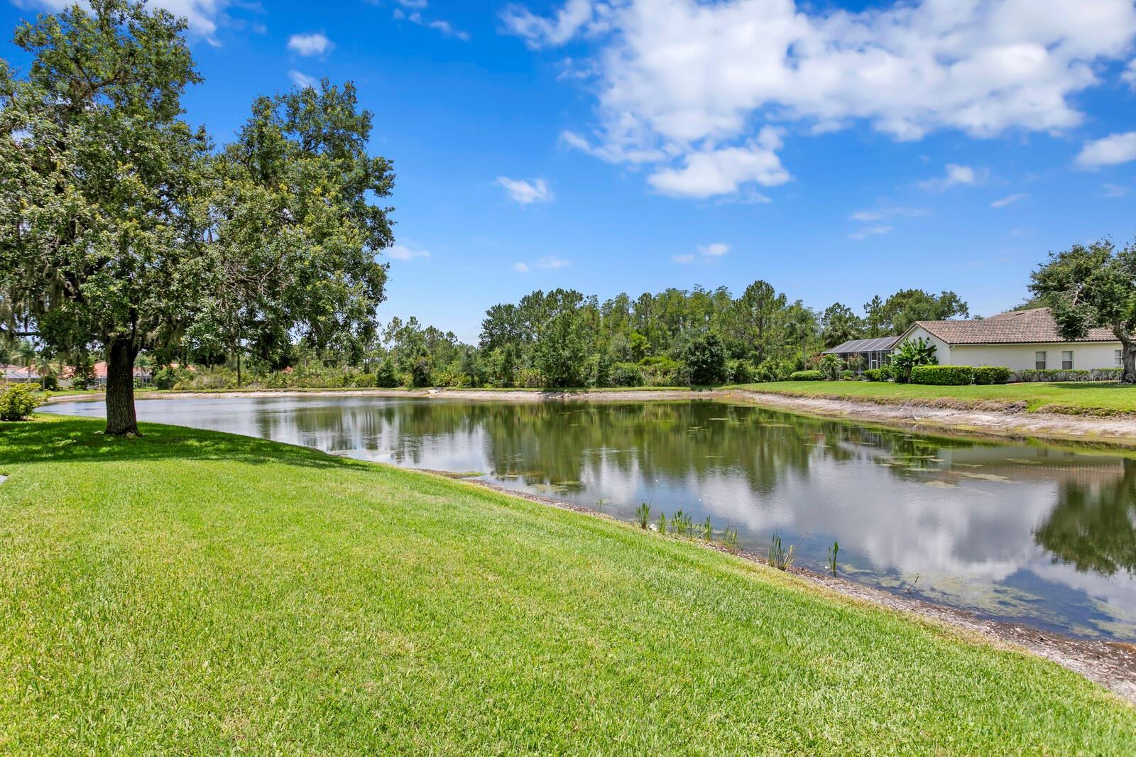 Property Photo: 17807 Arbor Greene Drive FL 33647