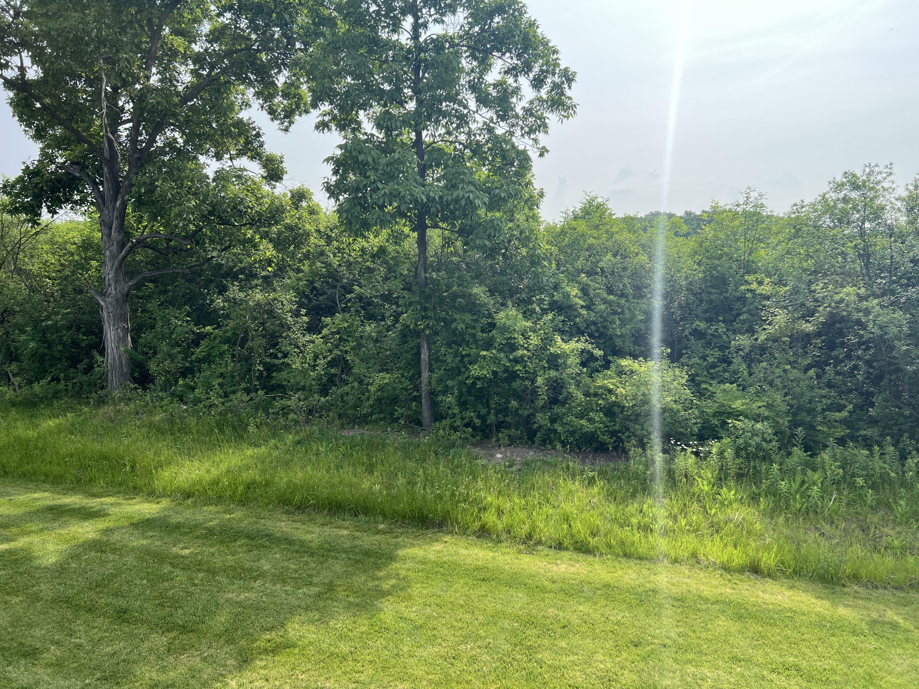Property Photo: 3555 Bella Vista Drive MI 48108