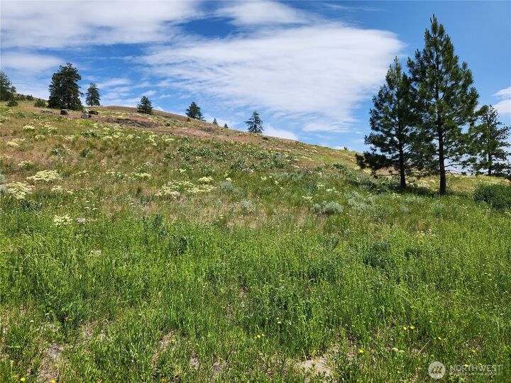 Property Photo: 999 Roundabout Road WA 98859