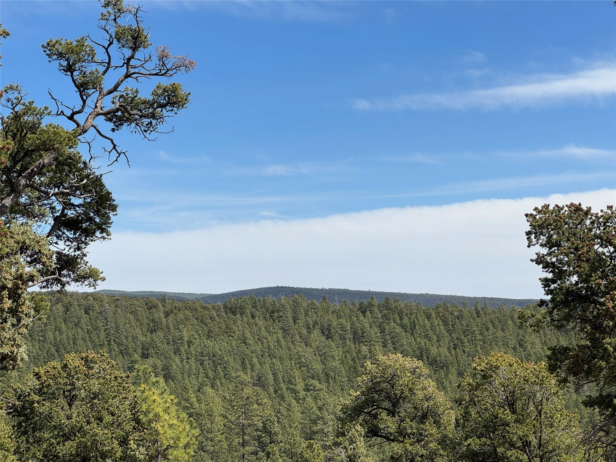 Property Photo: Lot 25 Lot 25 NM 87552