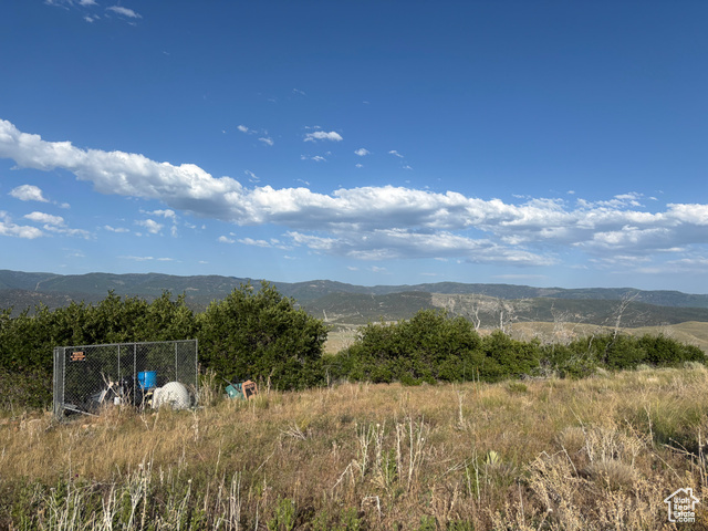 Property Photo: 15 W Cherokee Ln F15 UT 84629