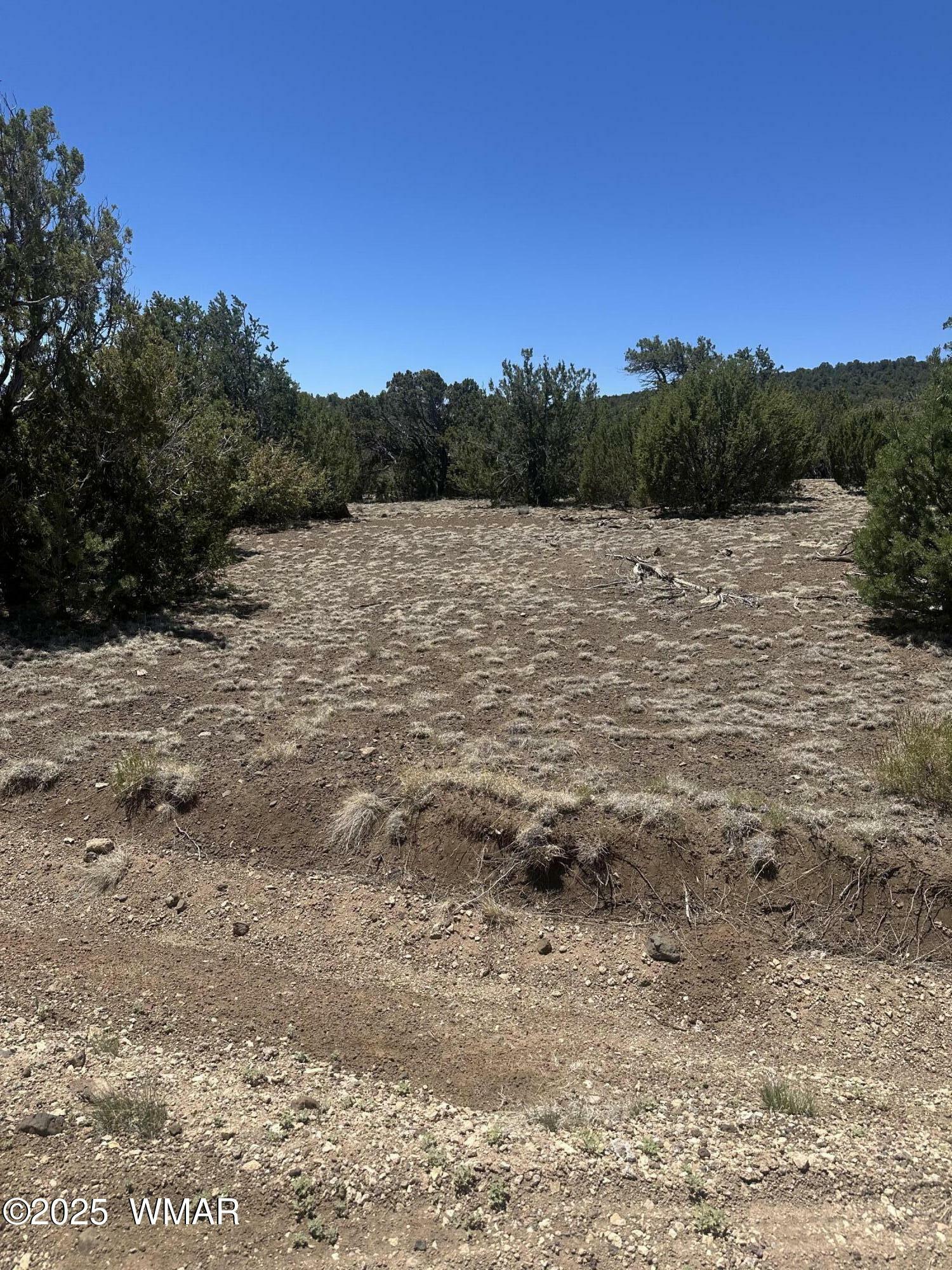 Property Photo:  3 County Road # 3195  AZ 85940 