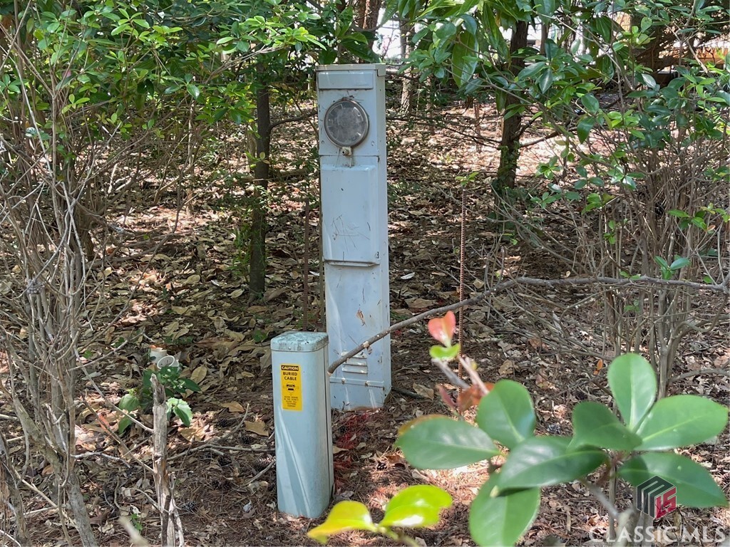 Property Photo: Lot 3 Big Water Circle GA 30643