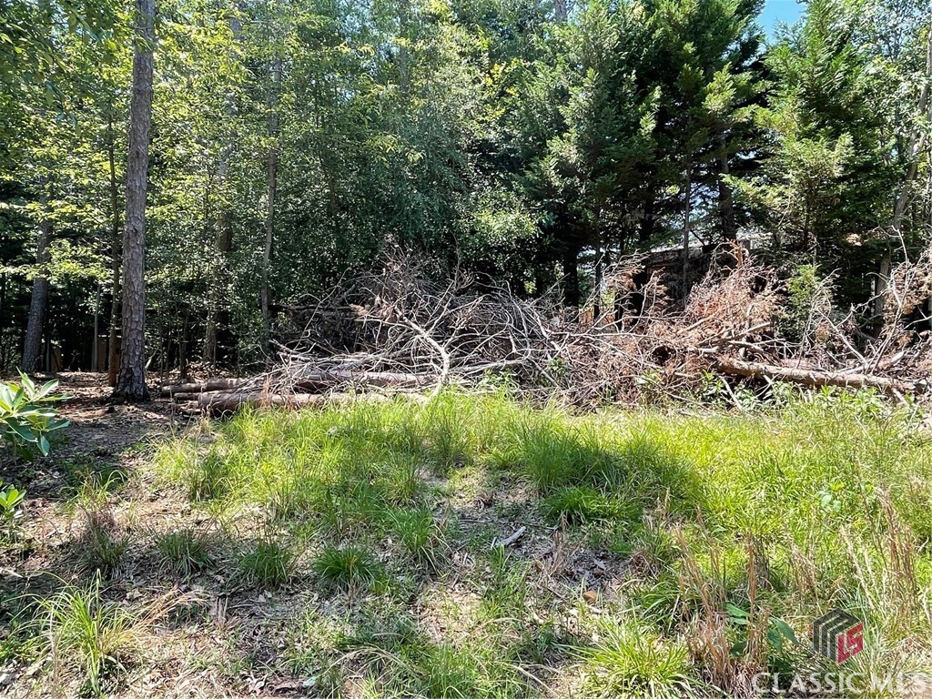 Property Photo: Lot 4 Big Water Circle GA 30643
