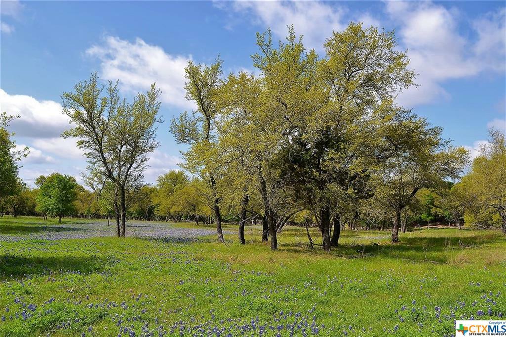 Property Photo: 1290 County Road 4765 TX 76539