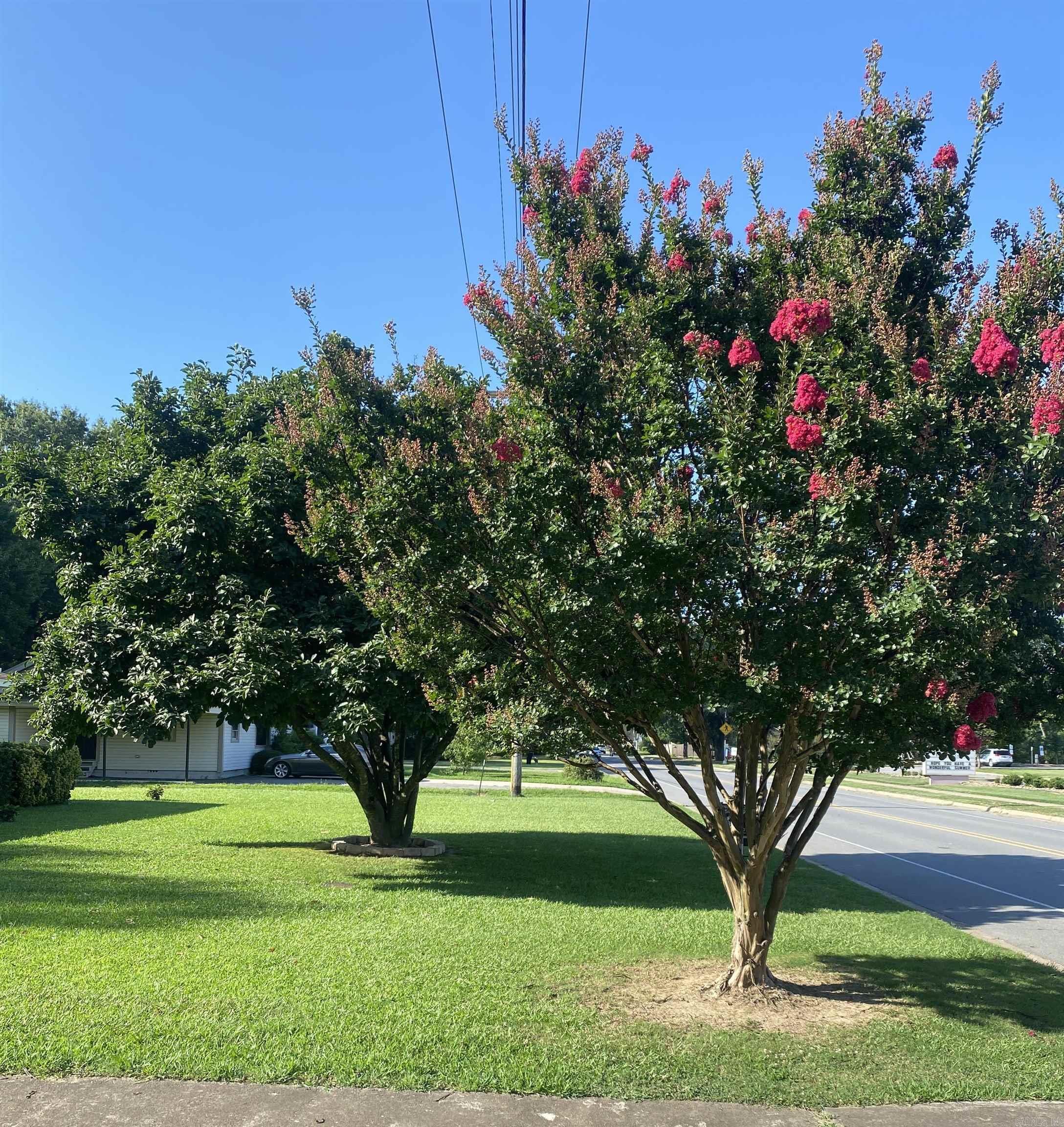 Property Photo: 1212 Donaghey Ave. AR 72034