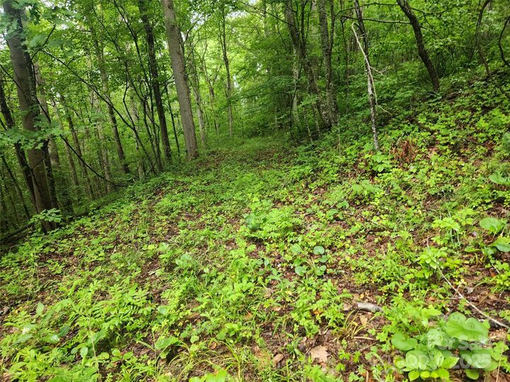 Property Photo:  9999 Henry Worley Lane  NC 28753 