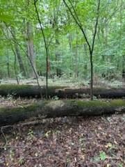 Property Photo: 5901 Howard Street NC 28269