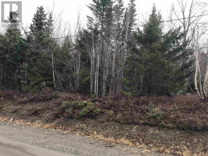 Property Photo:  Lot, Belleville Road  NS B0W 3M0 