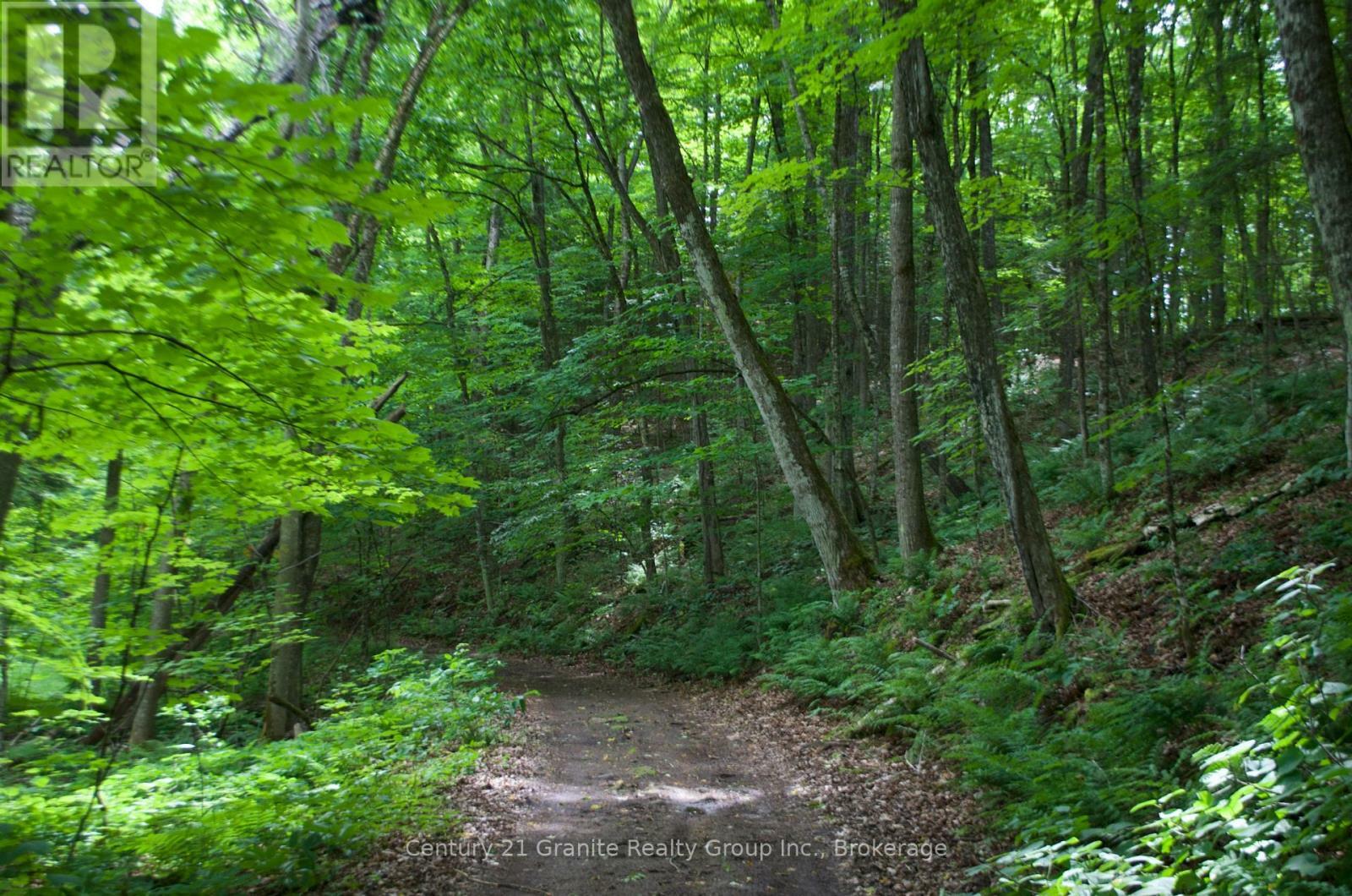 Property Photo:  Lot 10 Loon Lake Road South  ON K0M 1S0 