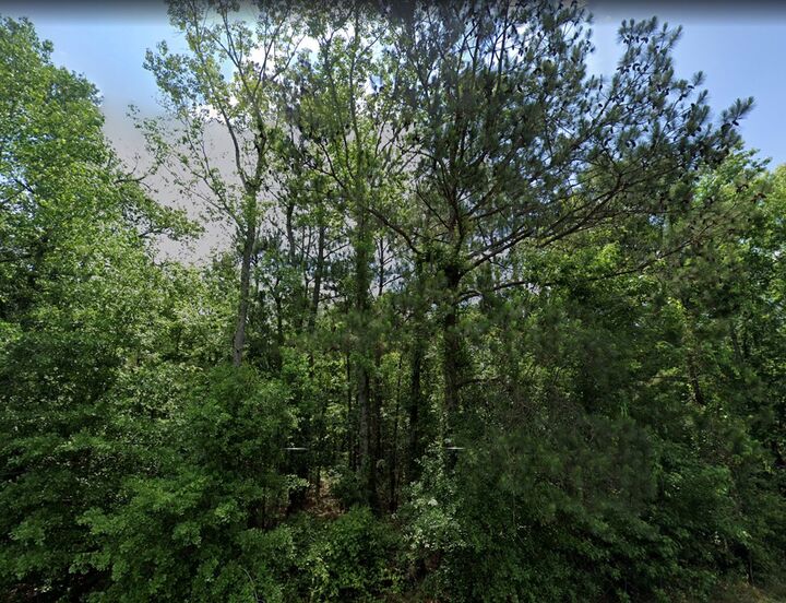 Property Photo: Lot 15 S Georgia Highway 300 GA 31796