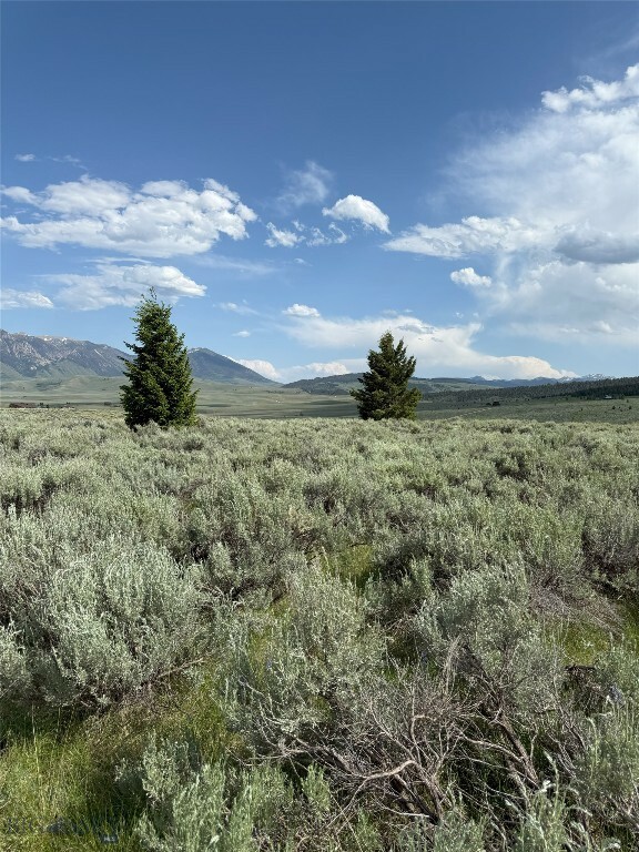Property Photo:  Tbd Madison River Ranches Lot 14  MT 59720 