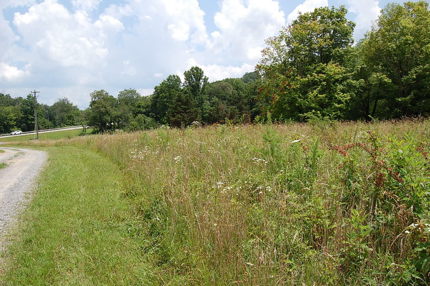 10 Laural Brook Road  Dunlap TN 37327 photo