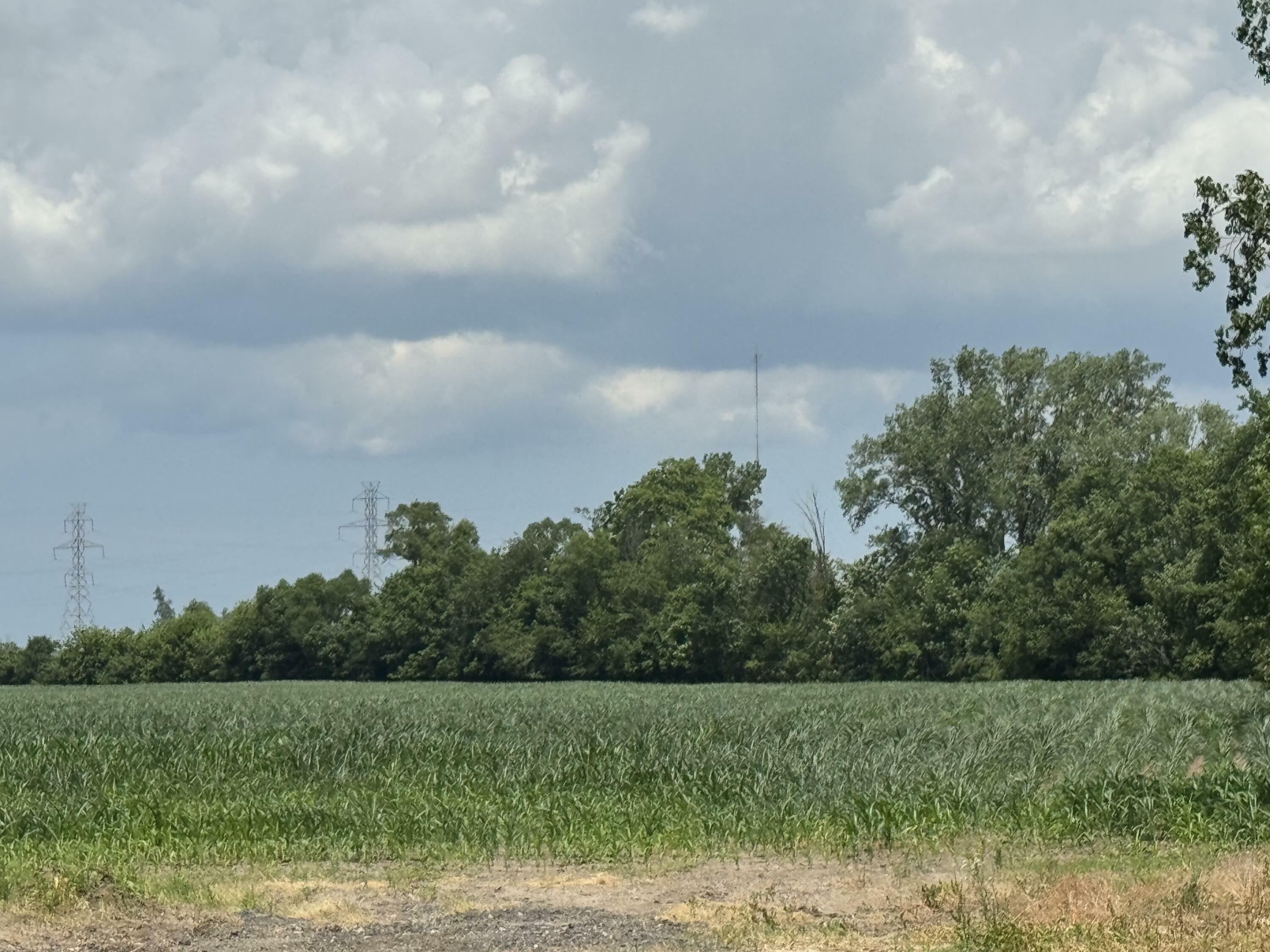 Property Photo: 31890 Edison Road IN 46552