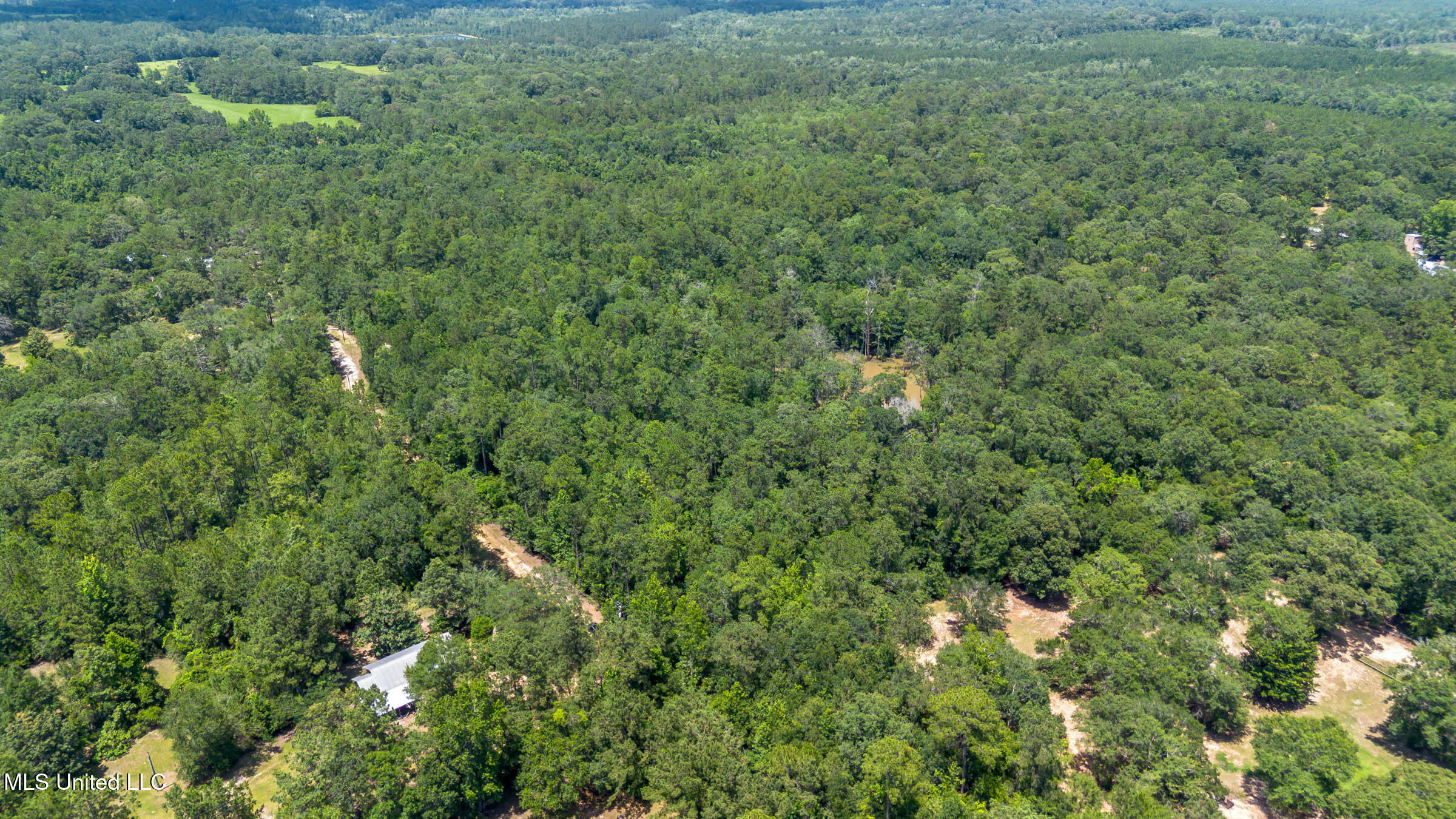 Property Photo: 1098 Rd 300 MS 39556