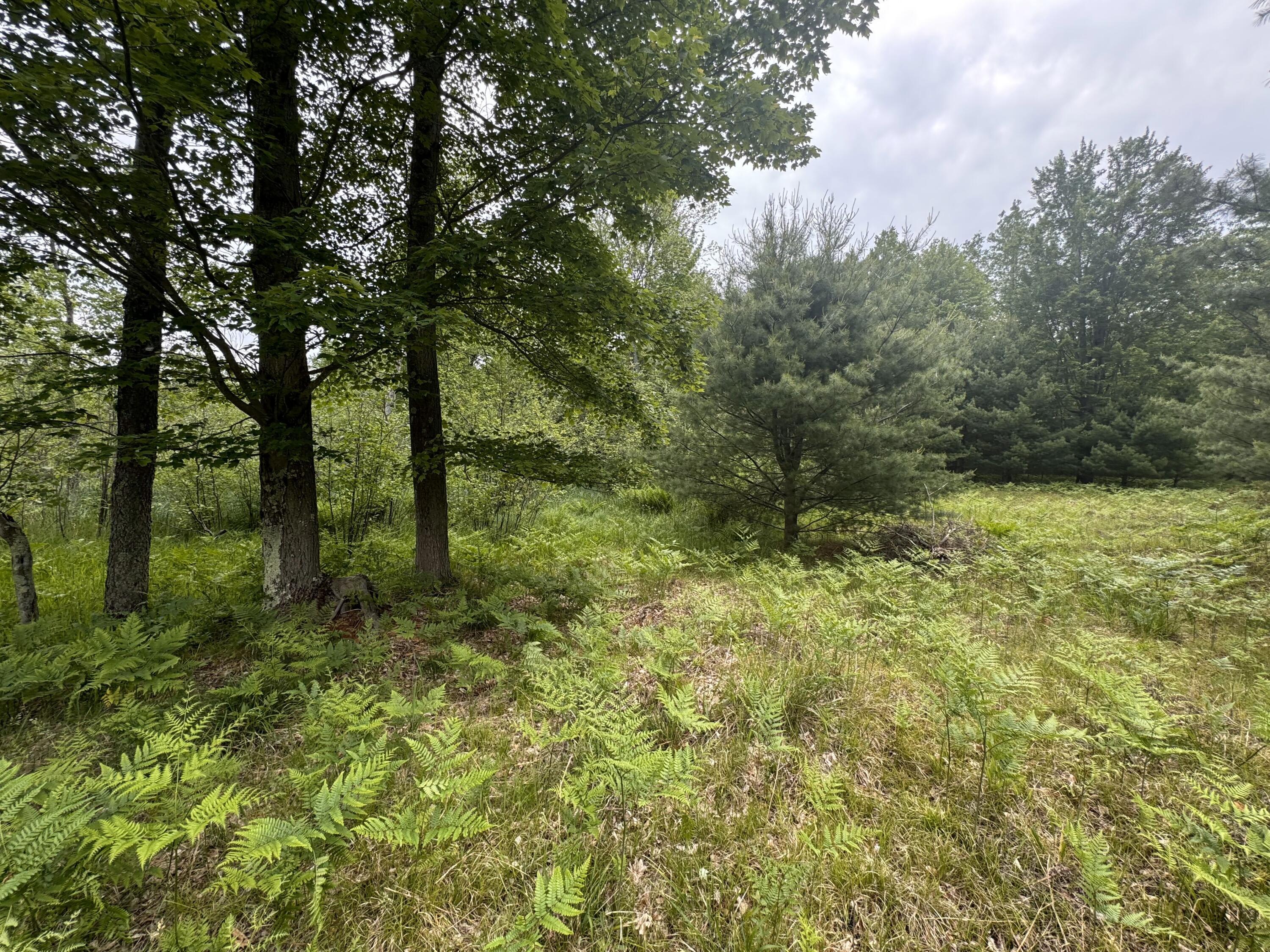 Property Photo: 6336 Cedar Trace MI 49346