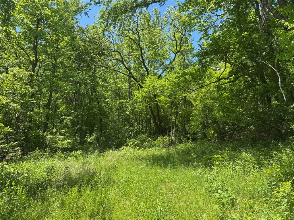 Property Photo:  Tract 1 Nc 7540  AR 72854 