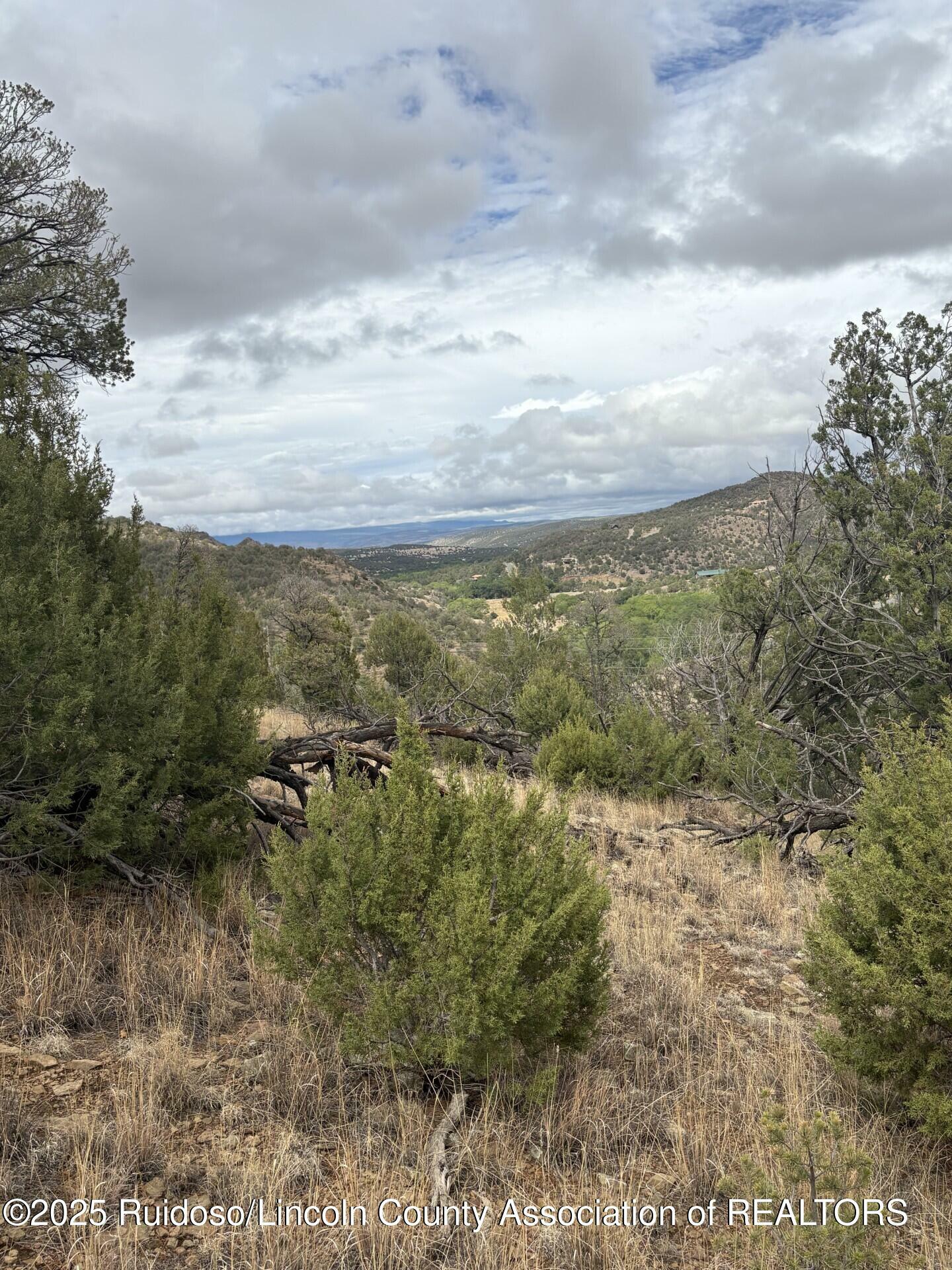Property Photo:  Lot 88 &89 Sandesta Dr.  NM 88312 