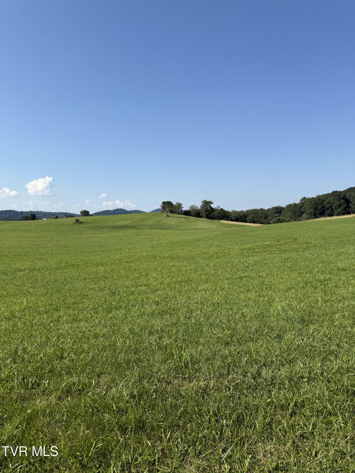 Property Photo: Lot 5 Mahoney Property, Hwy 81 N TN 37659