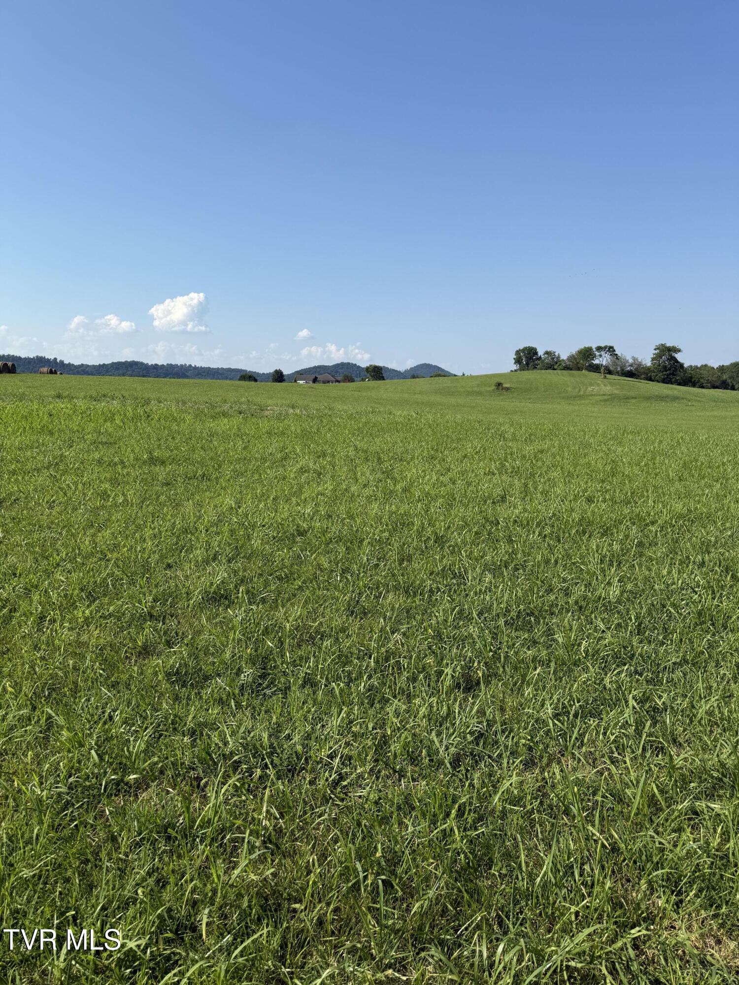 Property Photo: Lot 3 Mahoney Property, Hwy 81 N TN 37659