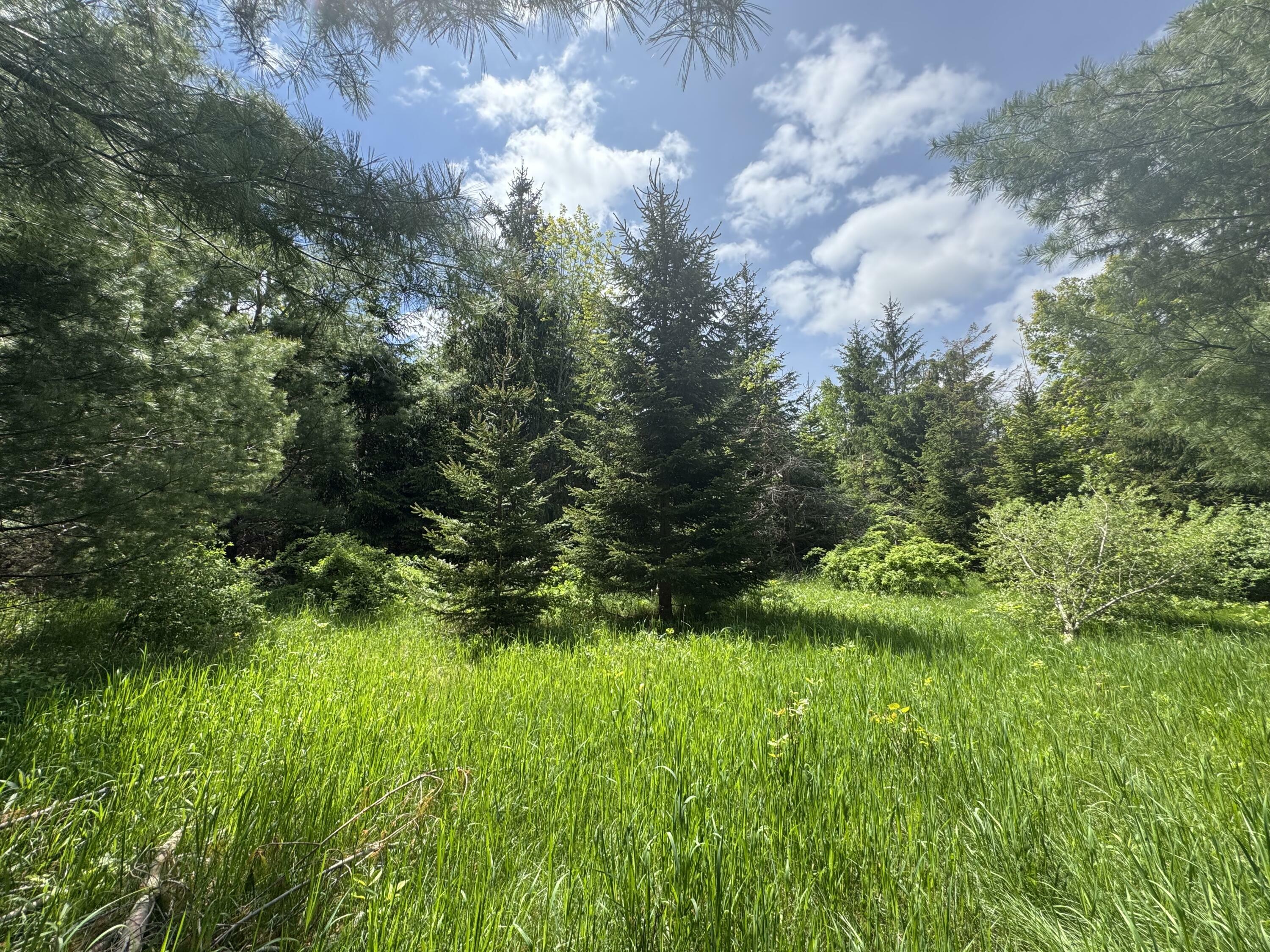 Property Photo: Lot 2 E West Resort Road MI 49706
