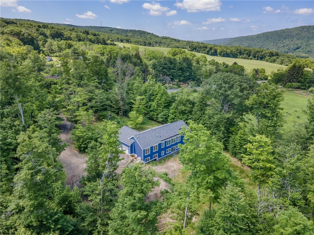 Property Photo: 88 Cox Road NY 14867