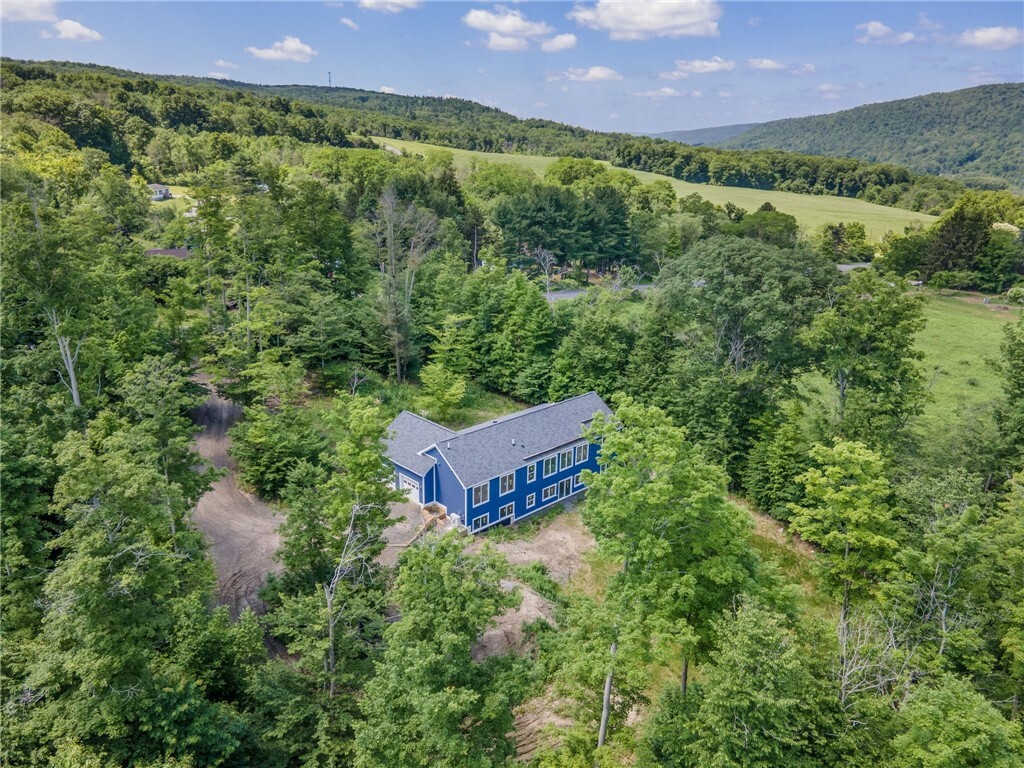 Property Photo: 88 Cox Road NY 14867