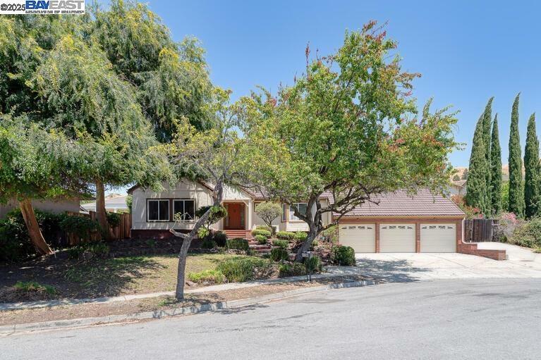 41366 Charlita Ct  Fremont CA 94539 photo