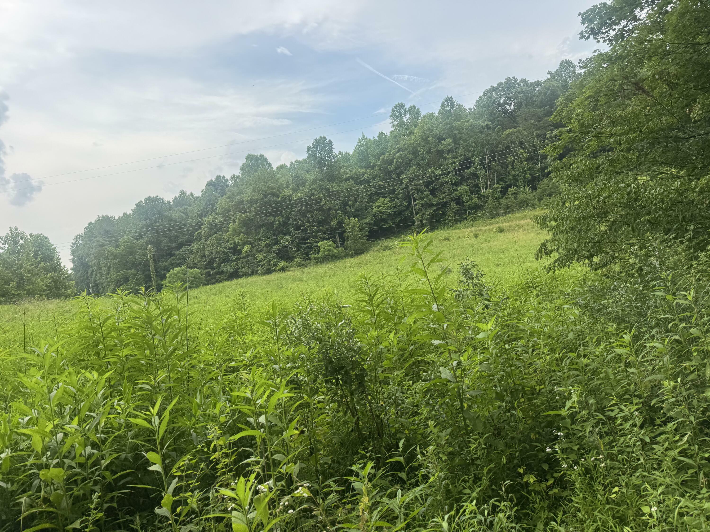Property Photo: 500 Hail Bridge Road KY 42501