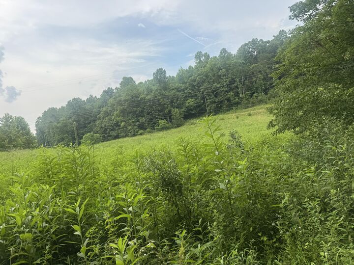 Property Photo:  500 Hail Bridge Road  KY 42501 