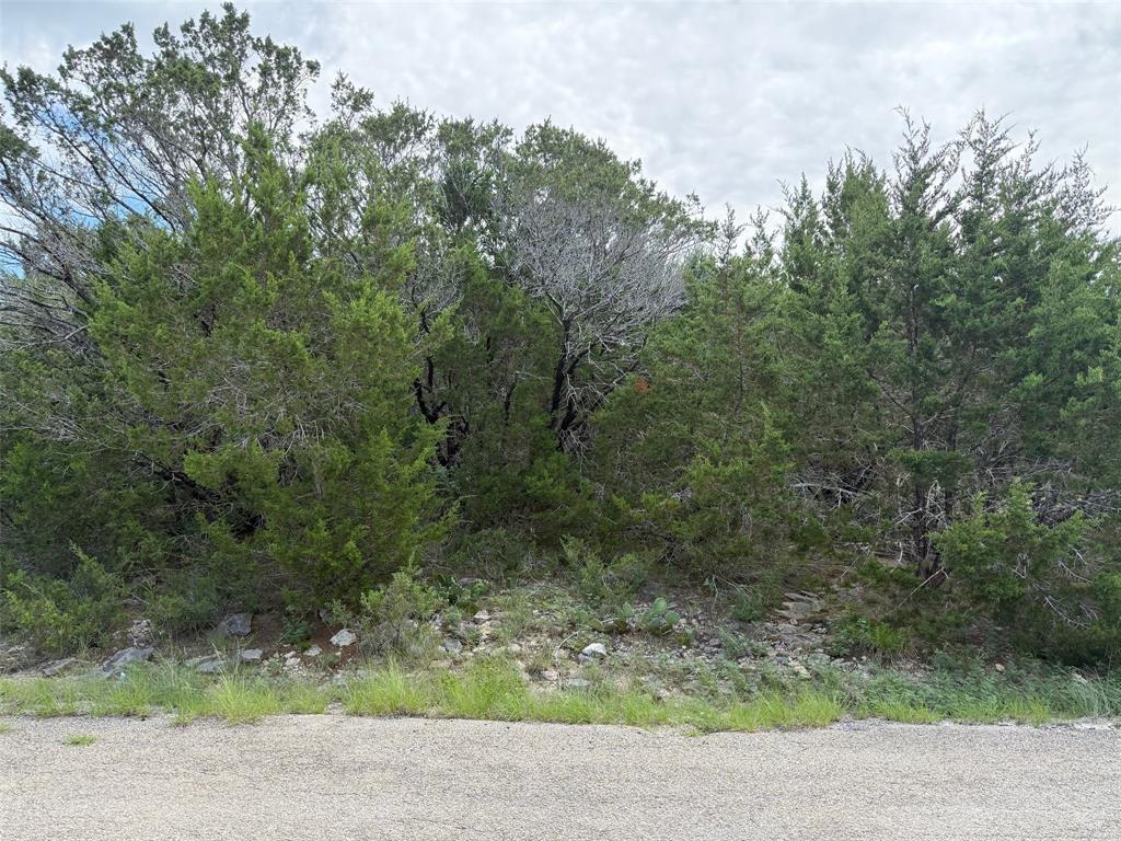 Property Photo:  4705 Evening View Drive  TX 76048 