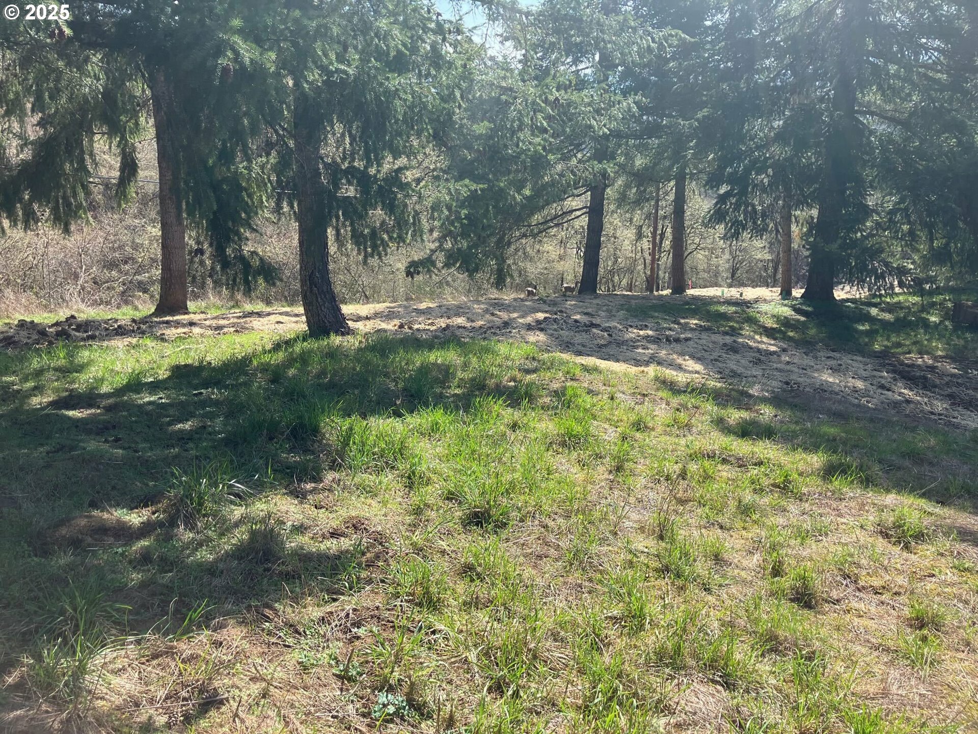 Property Photo: Center 2 OR 97378