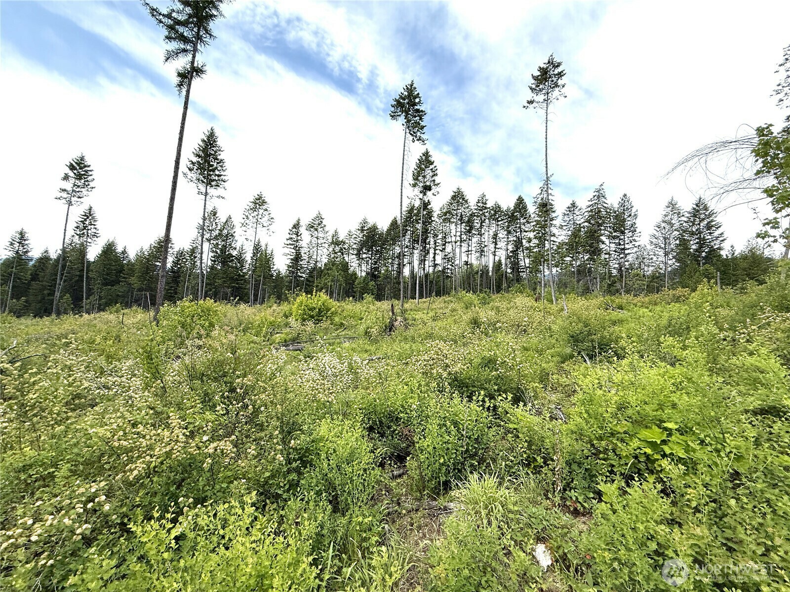 Property Photo: 0 Lot 4 Rockabye Lane WA 99118