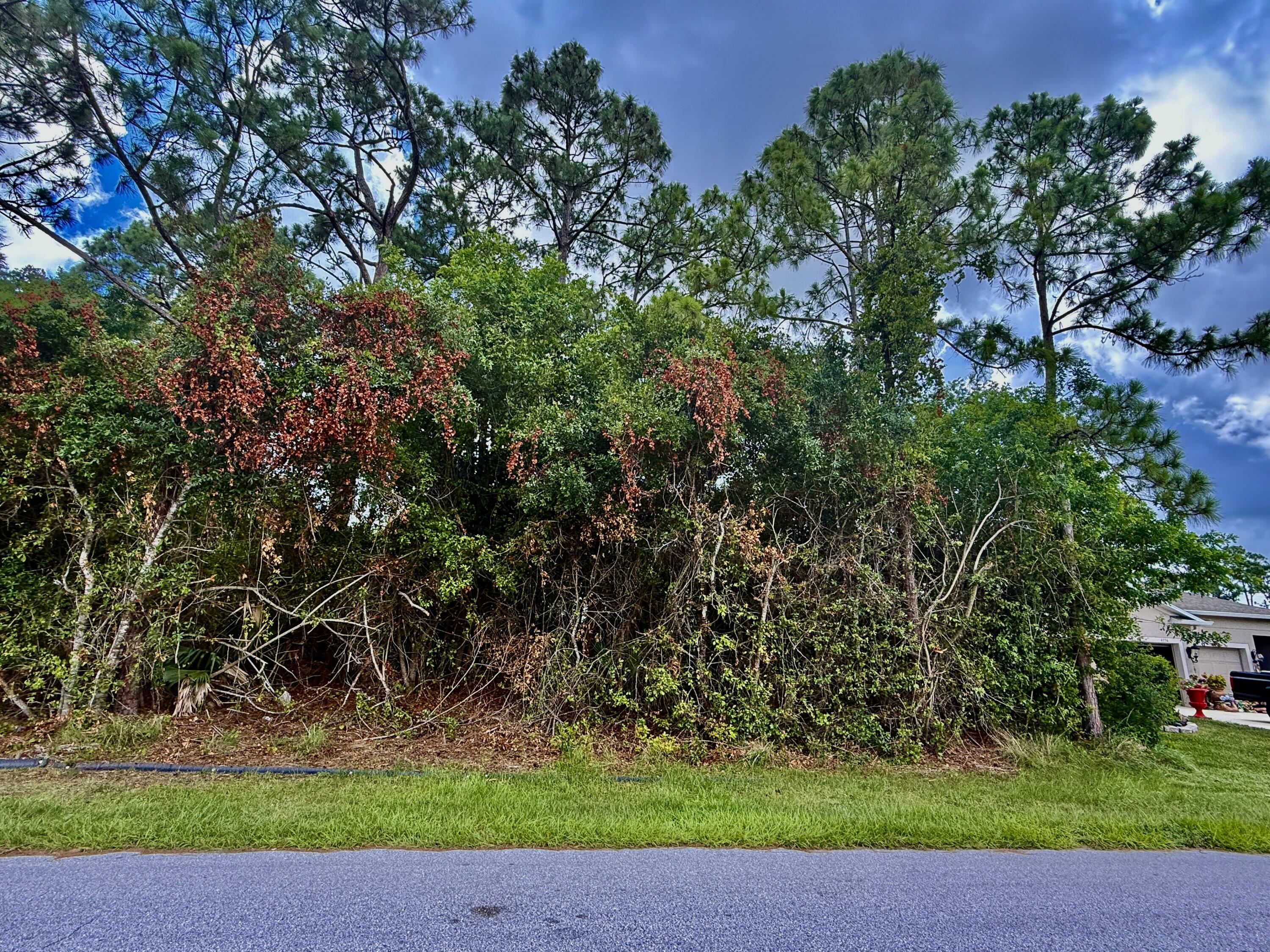 Property Photo: 4174 SW Batavia Street FL 34953
