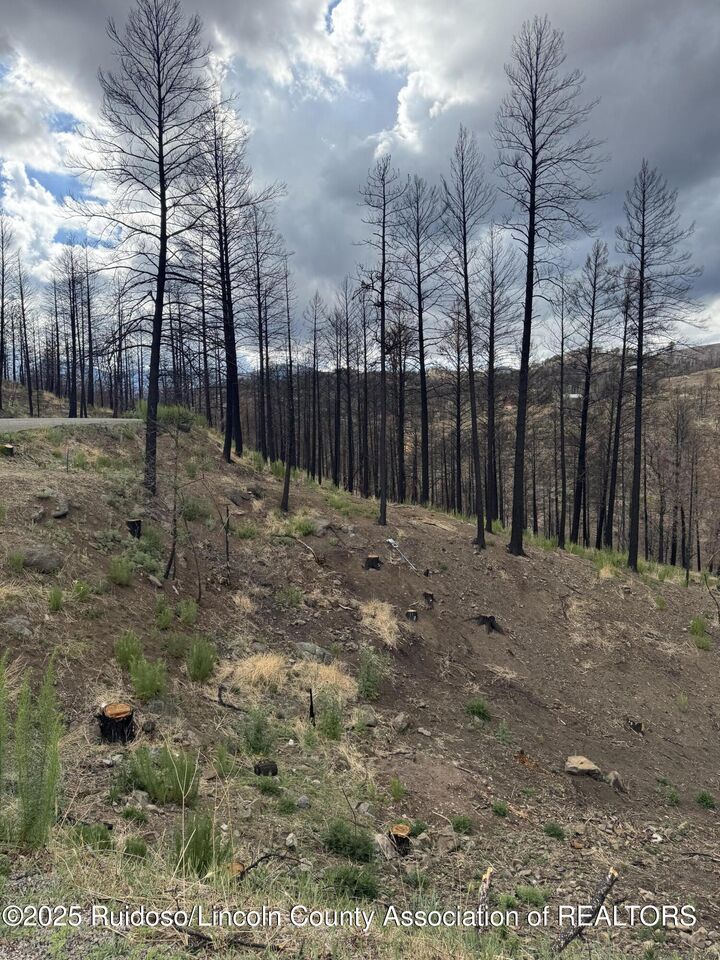 Property Photo:  110 Tahoe Drive  NM 88345 