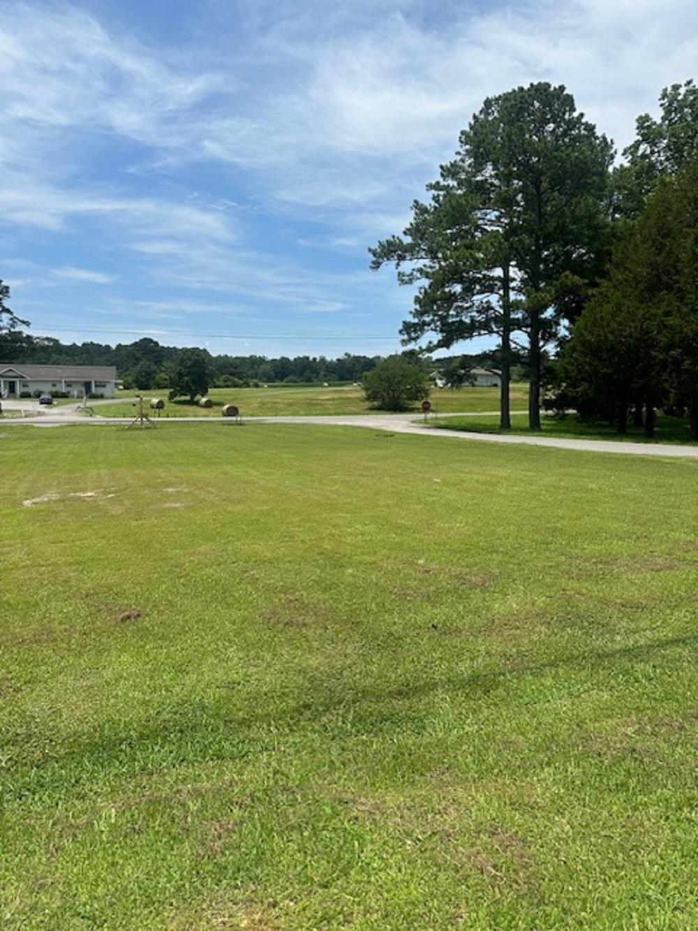Property Photo: 0 Co Rd 437 AL 35057 - CULLMAN