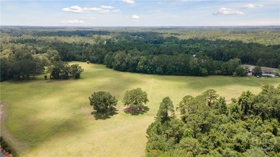 Property Photo:  35+ Acres Wells Road  GA 31313 