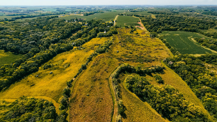 Property Photo: 46 Acres 245th St IA 51534