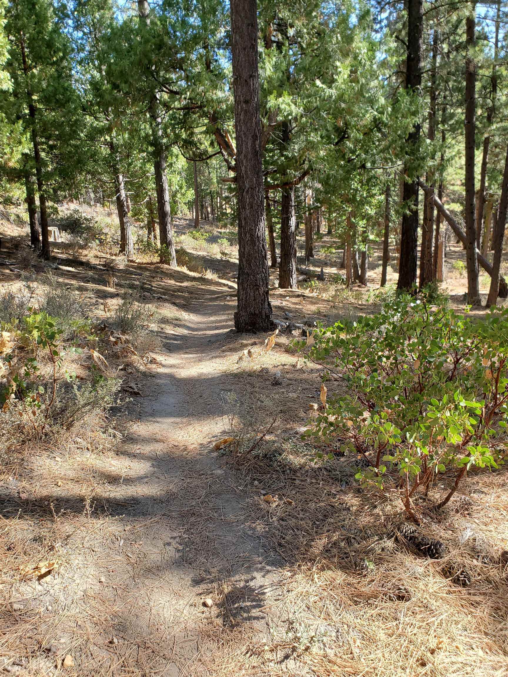 Property Photo:  012-190-024 Main Street  CA 96124 