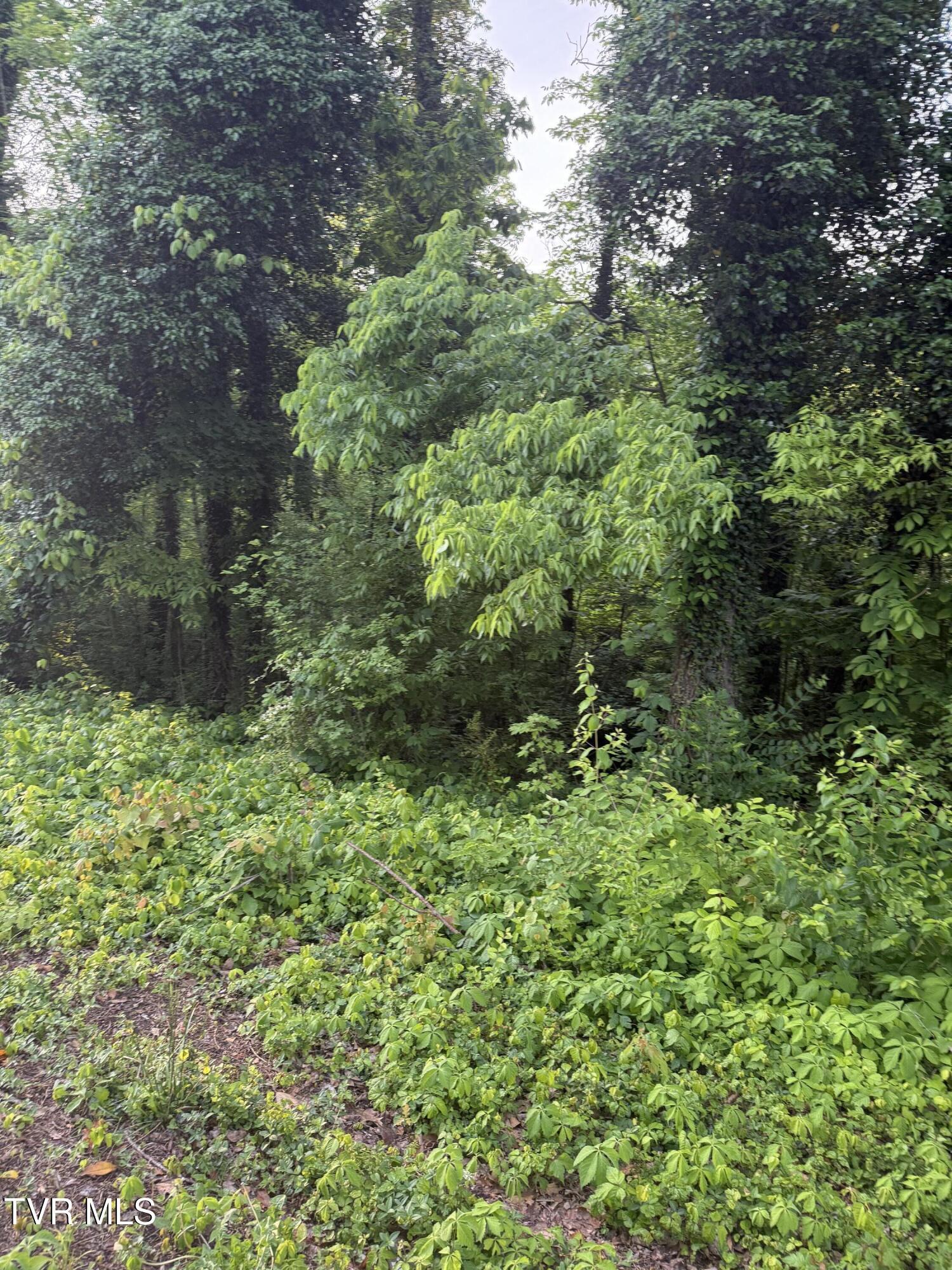 Property Photo:  Lot 17 Ashley Street  TN 37664 