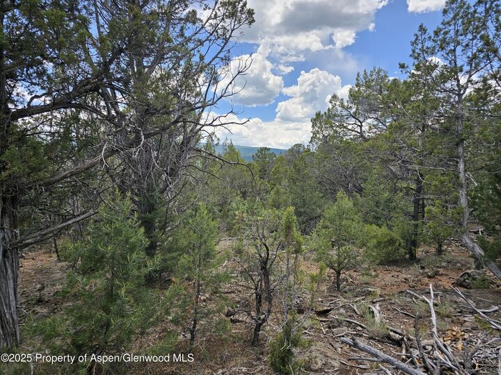 Property Photo:  3221 Elk Springs Drive  CO 81601 