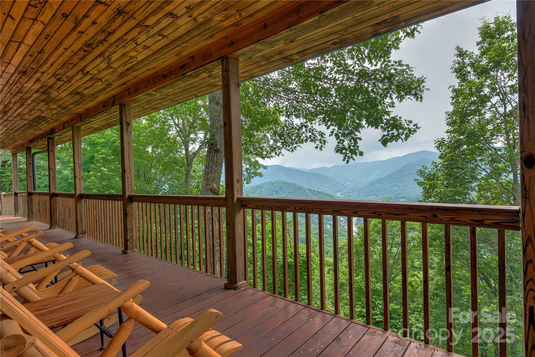 Property Photo:  1253 Forest Drive  NC 28751 